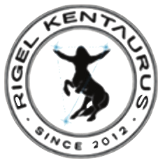 Logo Asa